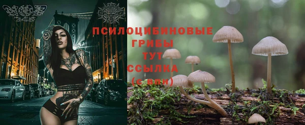 каннабис Бородино
